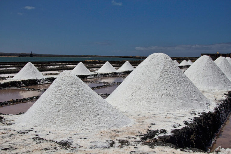 LA SAL EN LA NUTRICIÓN